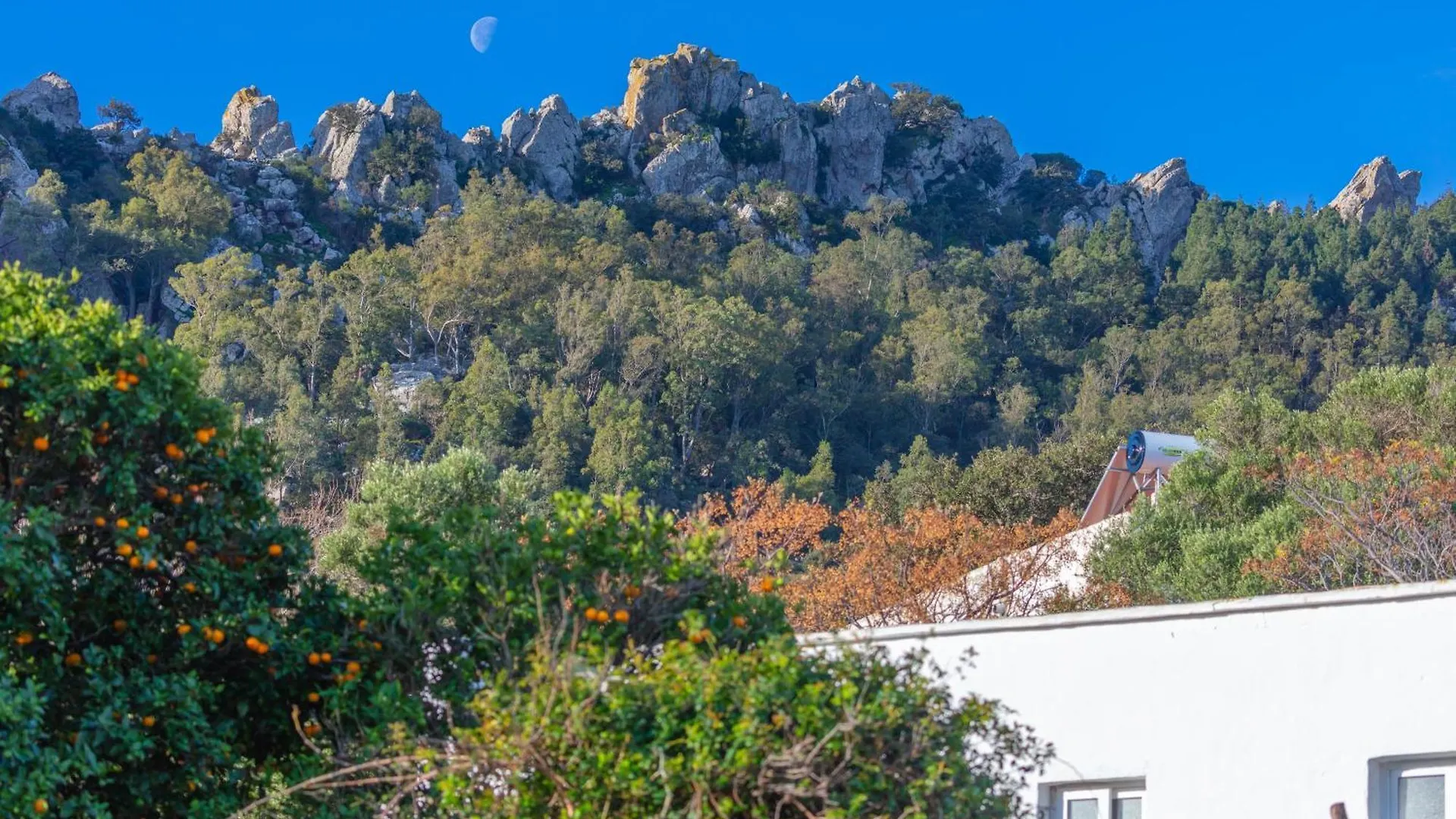 Casa Rural Unica - Piscina Privada Villa Tarifa